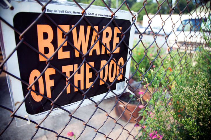 Brooklyn-Street-Art-WEB-Beware-Dog-Copyright-Jenna-Duffy-MG_1152