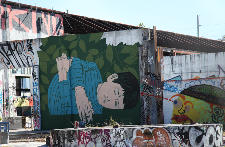 brooklyn-street-art-ephameron-jaime-rojo-12-10