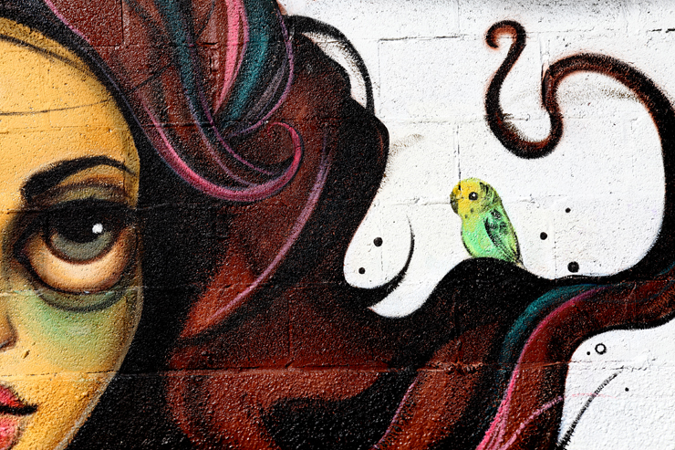 brooklyn-street-art-tati-jaime-rojo-01-11-12