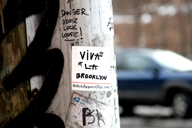 brooklyn-street-art-viva-la-brooklyn-jaime-rojo-02-11