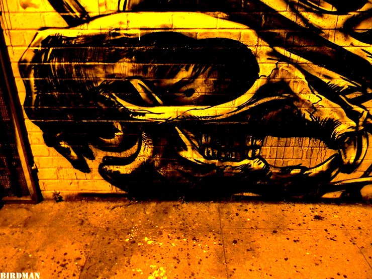 brooklyn-street-art-roa-birdman-05-11-28-web