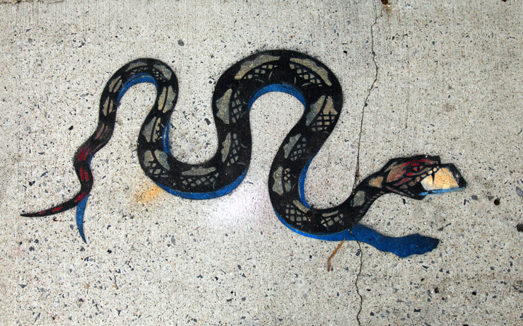 brooklyn-street-art-snake-jaime-rojo-07-11-web