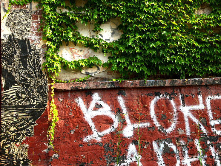 brooklyn-street-art-swoon-jaime-rojo-07-11-5-web