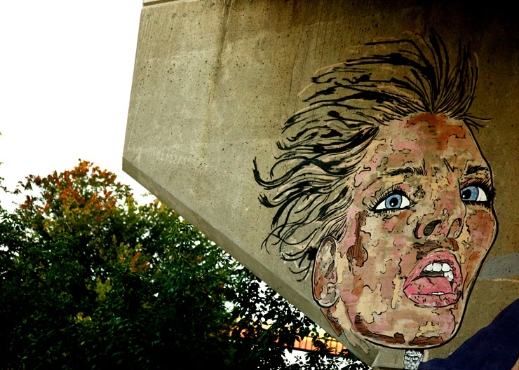 brooklyn-street-art-nohjcoley-jaime-rojo-albany-living-walls-09-11-web-2