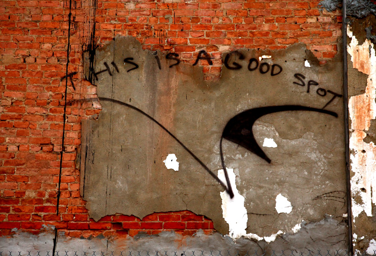 brooklyn-street-art-overunder-jaime-rojo-albany-living-walls-09-11-web-1