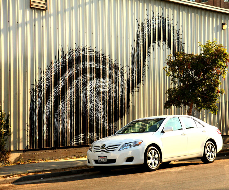 brooklyn-street-art-roa-jaime-rojo-los-angeles-chicago-09-11-web-5