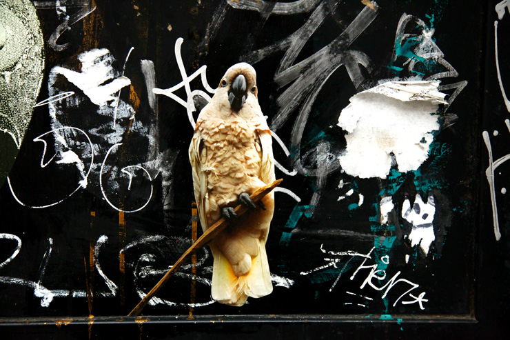 brooklyn-street-art-erik-berglin-jaime-rojo-09-11-web-5