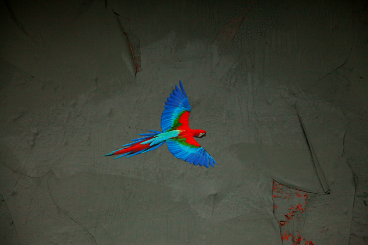 brooklyn-street-art-erik-berglin-jaime-rojo-09-11-web-6