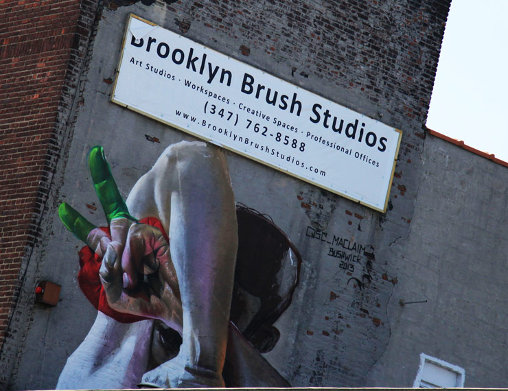 brooklyn-street-art-case-maclaim-jaime-rojo-01-09-13-web