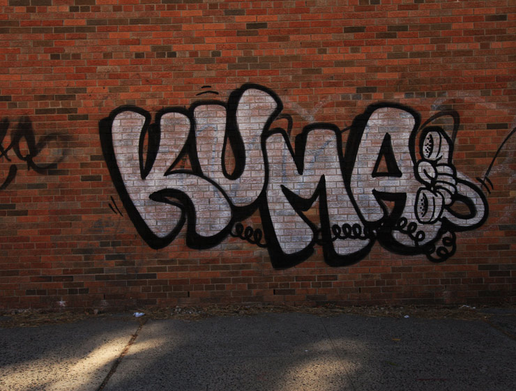 brooklyn-street-art-kuma-jaime-rojo-09-29-13-web