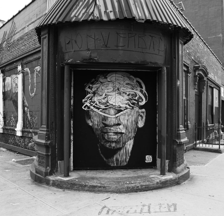 brooklyn-street-art-axel-void-jaime-rojo-11-17-13-web