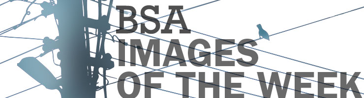 BSA-Images-Week-Jan2014