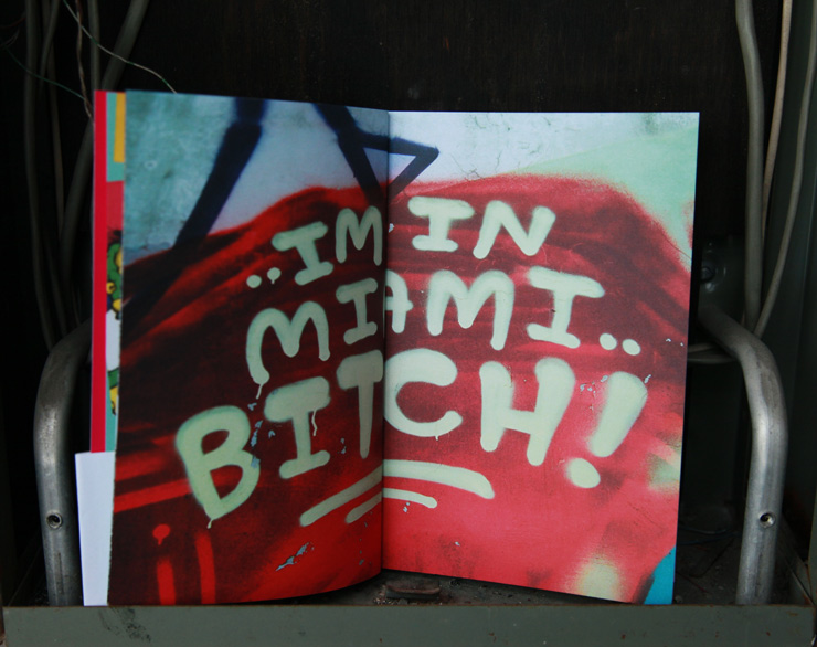 brooklyn-street-art-andrew-kaufman-book-jaime-rojo-02-14-web-2