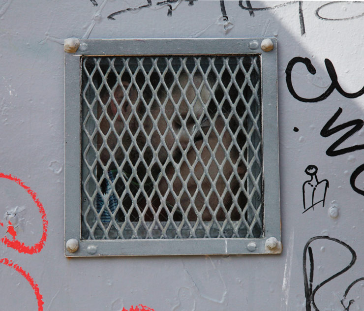 brooklyn-street-art-dan-witz-jaime-rojo-03-16-14-web