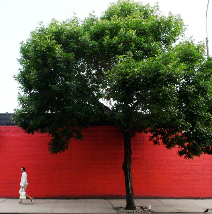 brooklyn-street-art-jaime-rojo-06-01-14-web