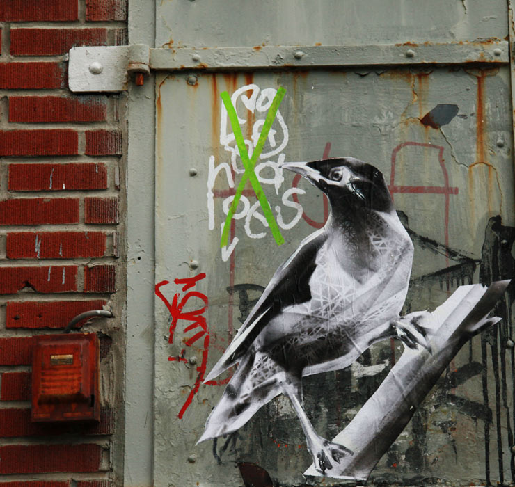 brooklyn-street-art-li-hill-jaime-rojo-04-25-14-web
