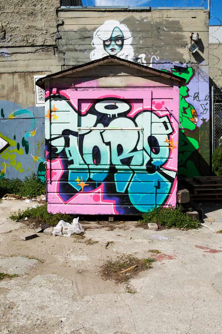 brooklyn-street-art-toro_brock-brake-san-francisco-web