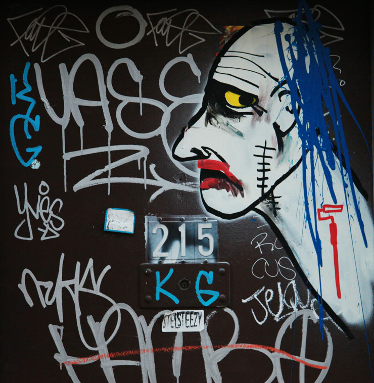 brooklyn-street-art-art-is-trash-francisco-de-pajaro-jaime-rojo-06-14-web-5