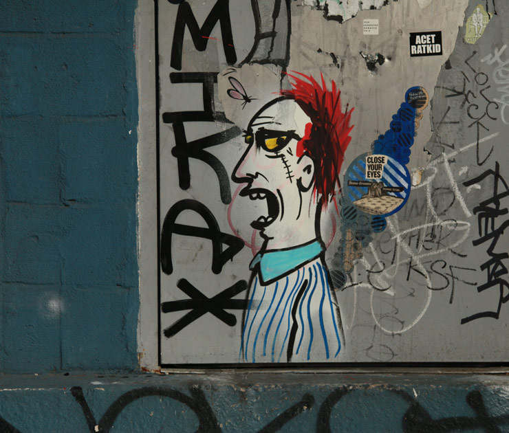 brooklyn-street-art-art-is-trash-francisco-de-pajaro-jaime-rojo-06-14-web-8