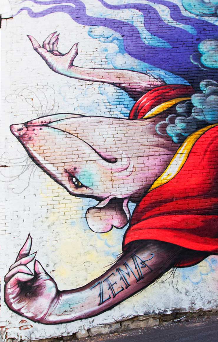 brooklyn-street-art-zema-daniel-esteban-rojas-mural-festival-montreal-06-14-web