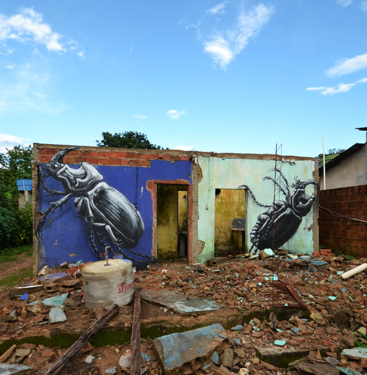 brooklyn-street-art-roa-Brasil-07-14-web-4