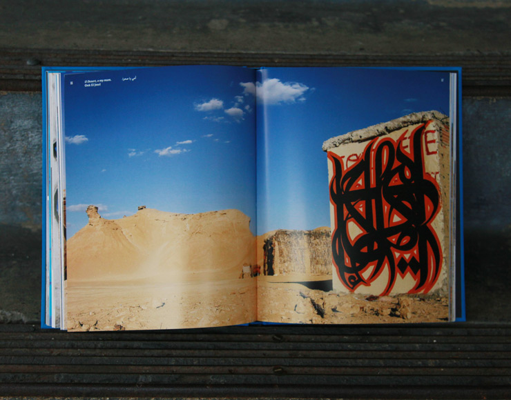 brooklyn-street-art-el-seed-jaime-rojo-lost-walls-tunisia-08-14-web-8
