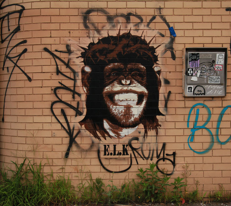 brooklyn-street-art-elk-jaime-rojo-08-03-14-web