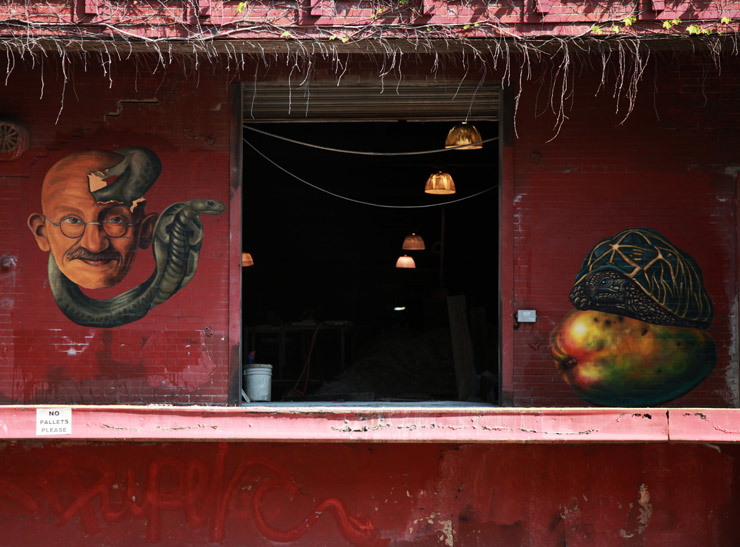 brooklyn-street-art-willow-swil-jaime-rojo-08-31-14-web-3