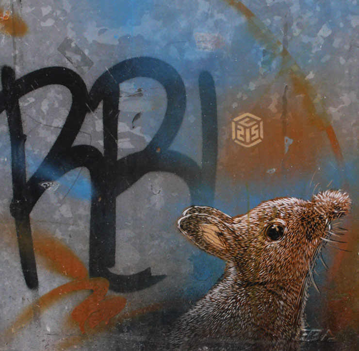 brooklyn-street-art-c215-steven-p-harrington-09-14-14-web