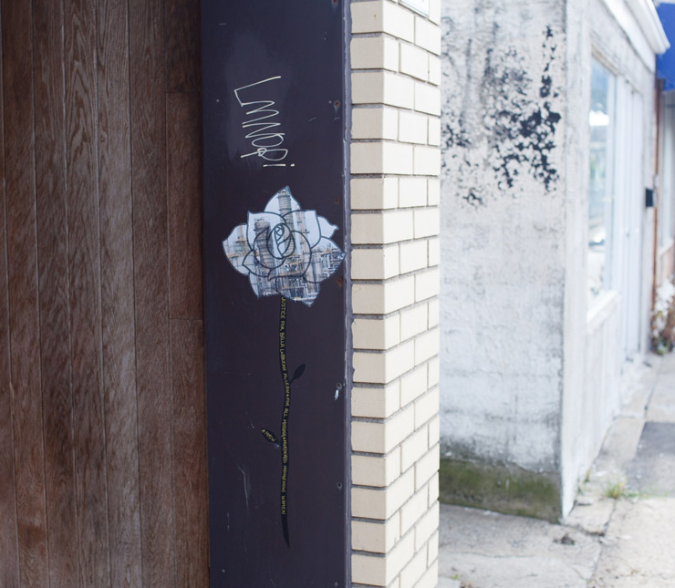 brooklyn-street-art-swarm-DSA-Vo-Thien-Viet-Montreal-08-2014-web