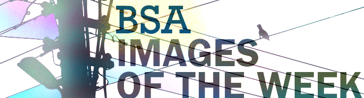 BSA-Images-Week-Nov2014
