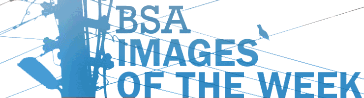BSA-Images-Week-Jan2015