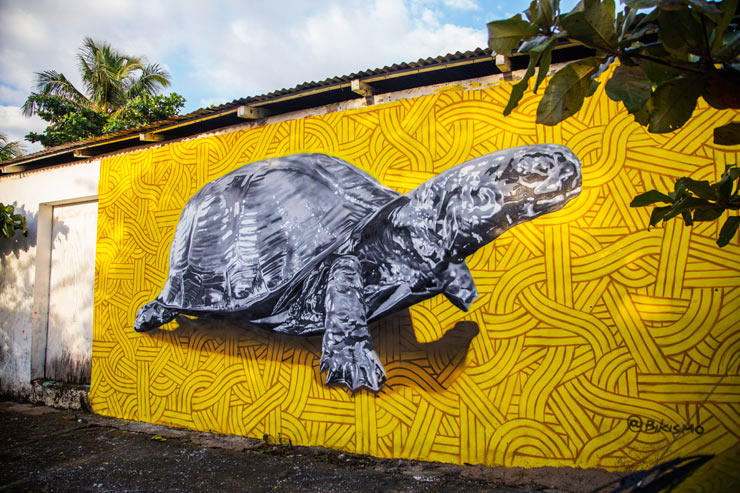 brooklyn-street-art-bikismo-artesano-project-tost-films-mario-ramirez-Rio-San_Juan-Dominican-Republic-12-2014-web