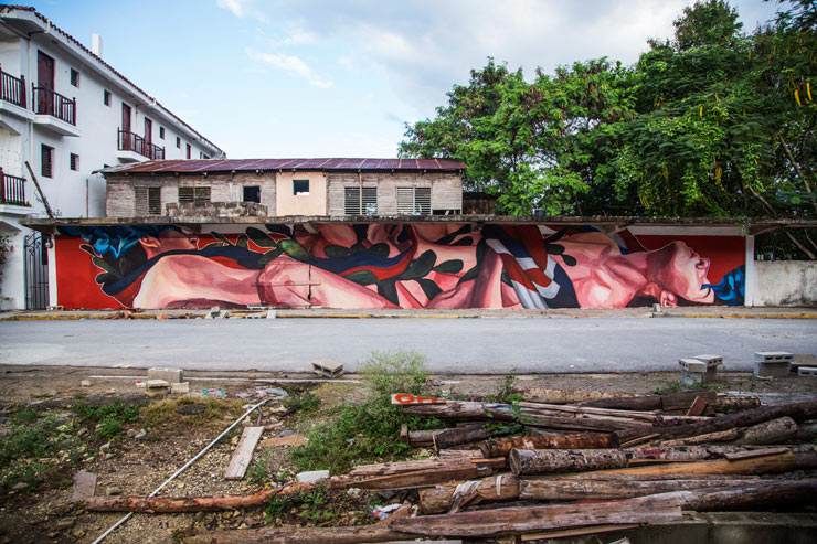 brooklyn-street-art-ever-artesano-project-tost-films-mario-ramirez-Rio-San_Juan-Dominican-Republic-12-2014-web