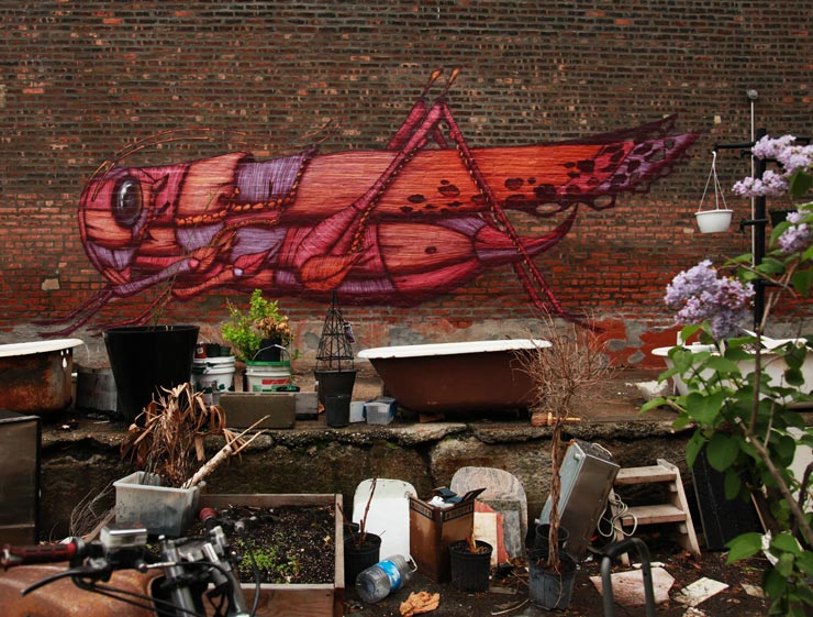 brooklyn-street-art-sego-jaime-rojo-dorian-grey-gallery-05-14-web-9