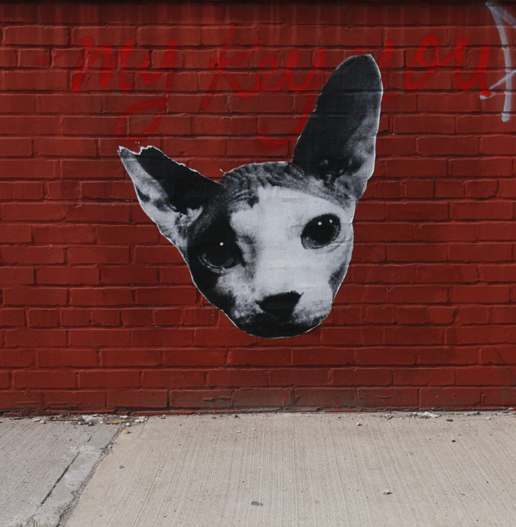 brooklyn-street-art-kafka-is-famous-jaime-rojo-04-26-15-web