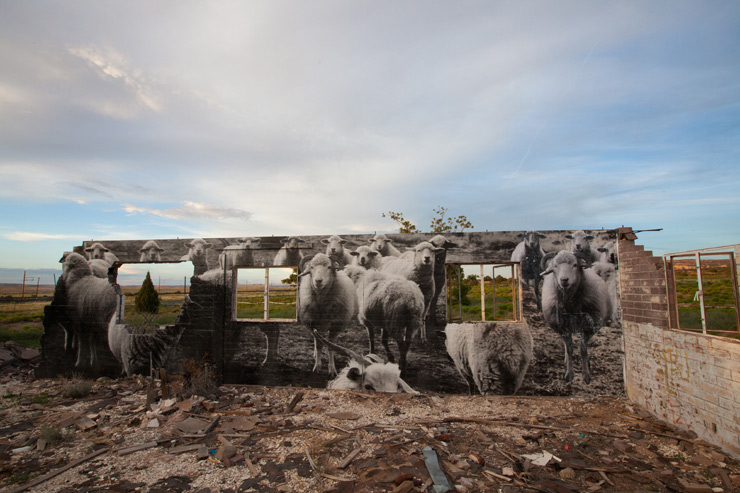 brooklyn-street-art-jetsonorama-lola-navajo-nation-cow-springs-07-15-web-2