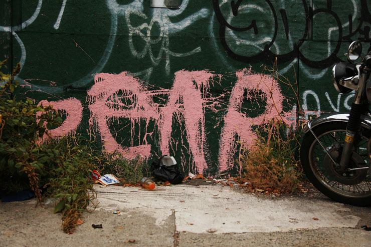 brooklyn-street-art-pear-jaime-rojo-10-04-15-web
