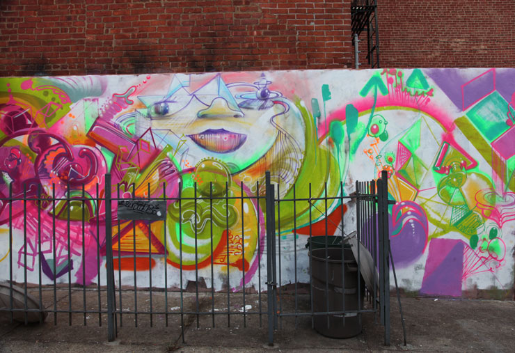 brooklyn-street-art-cern-jaime-rojo-11-22-15-web-2