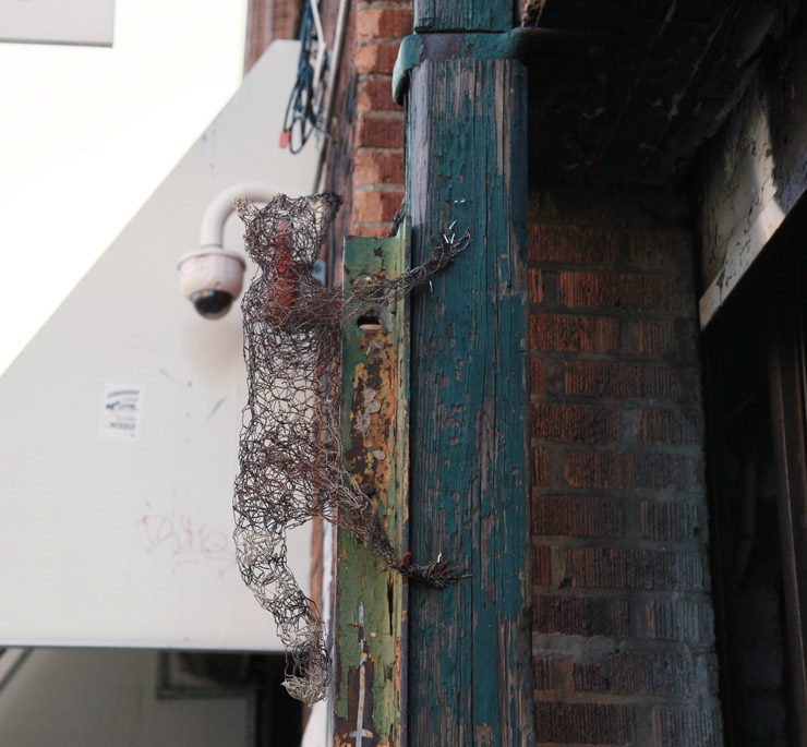 brooklyn-street-art-stray-ones-jaime-rojo-11-22-15-web