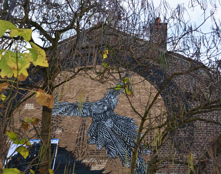 brooklyn-street-art-monkey-bird-crew-Aline-Mairet-Lille-france-11-15-web-7