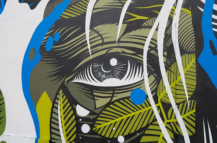 brooklyn-street-art-dourone-jaco-costa-rica-02-16-web-7