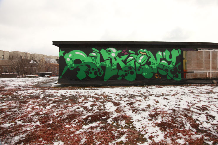brooklyn-street-art-dmote-jaime-rojo-03-06-16-web-1