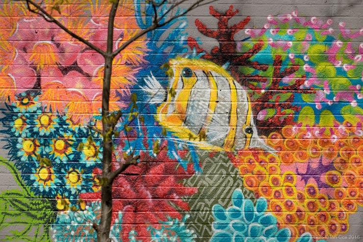 brooklyn-street-art-Endangered13_Louis_Masai_Ian_Cox_london-04-2016-web-1
