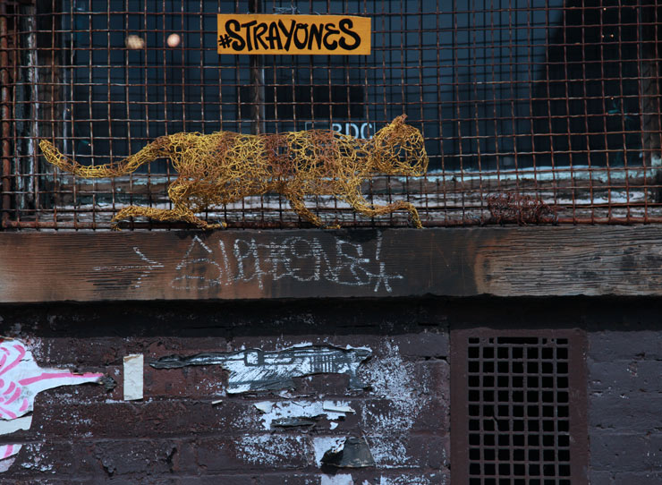 brooklyn-street-art-stray-ones-jaime-rojo-04-03-16-web-1