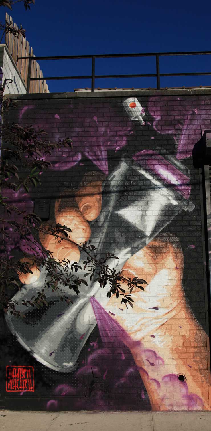 brooklyn-street-art-damien-mitchell-jaime-rojo-the-bushwick-collective-06-2016-web