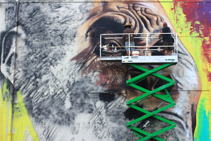 brooklyn-street-art-Pablo-Machioli-Alfredo-Segatorii-matt-fox-tucker-baltimore-august-2016-web-3