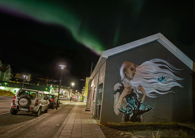 brooklyn-street-art-heather-mclean-wall-poetry-2016-nika-kramer-reykjavik-iceland-10-2016-web-4