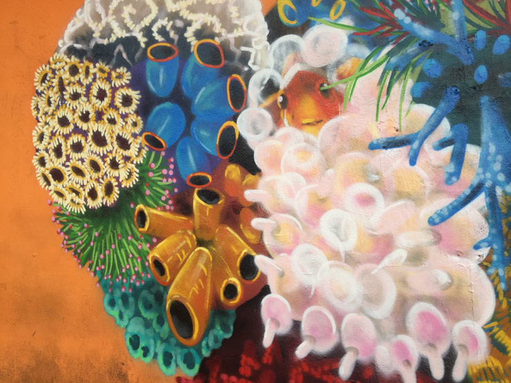 brooklyn-street-art-louis-masai-coral-miami-12-2016-web-2