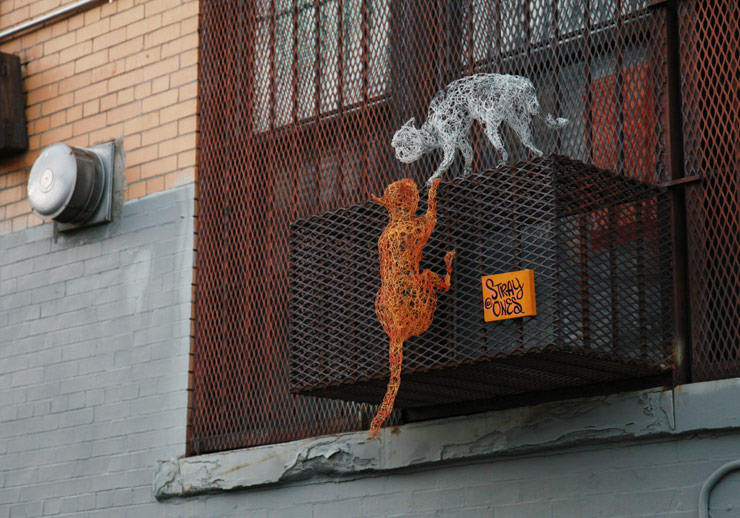 StrayOnes Studio Visit : Seeing Fellow New Yorkers As Stray Cats